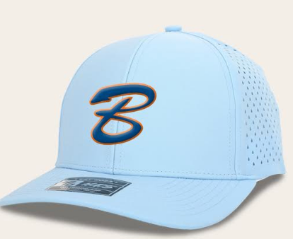 Light BLue Adult 10 10 Supporters 6 Panel Hat_3D embroidery